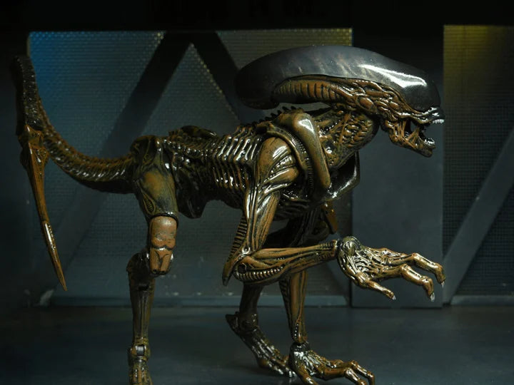Aliens: Fireteam Elite Runner Alien Action Figure - Collectible Toy for Sci-Fi Fans & Movie Enthusiasts - Perfect for Display, Gifts, and Role-Playing Games