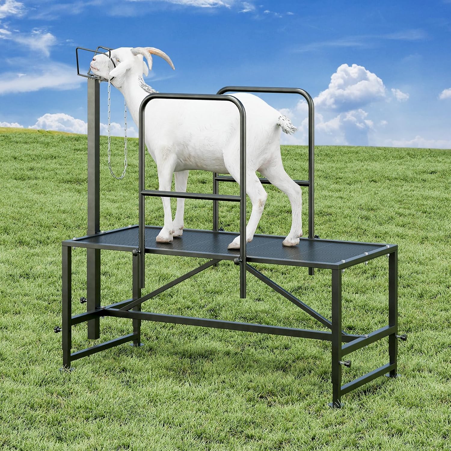 Heavy Duty Adjustable Metal Goat Milking Stand with Railings & Headpiece - Livestock Grooming Stand for Sheep, Goats - Perfect for Hoof Trimming, Milking & Veterinary Care (Black)