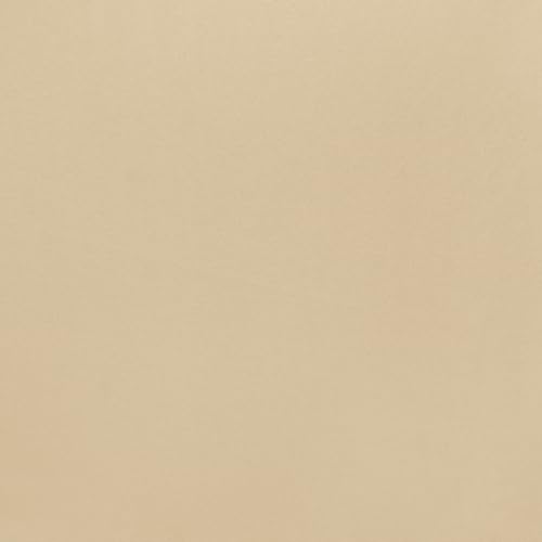 Solid Color/ Beige
