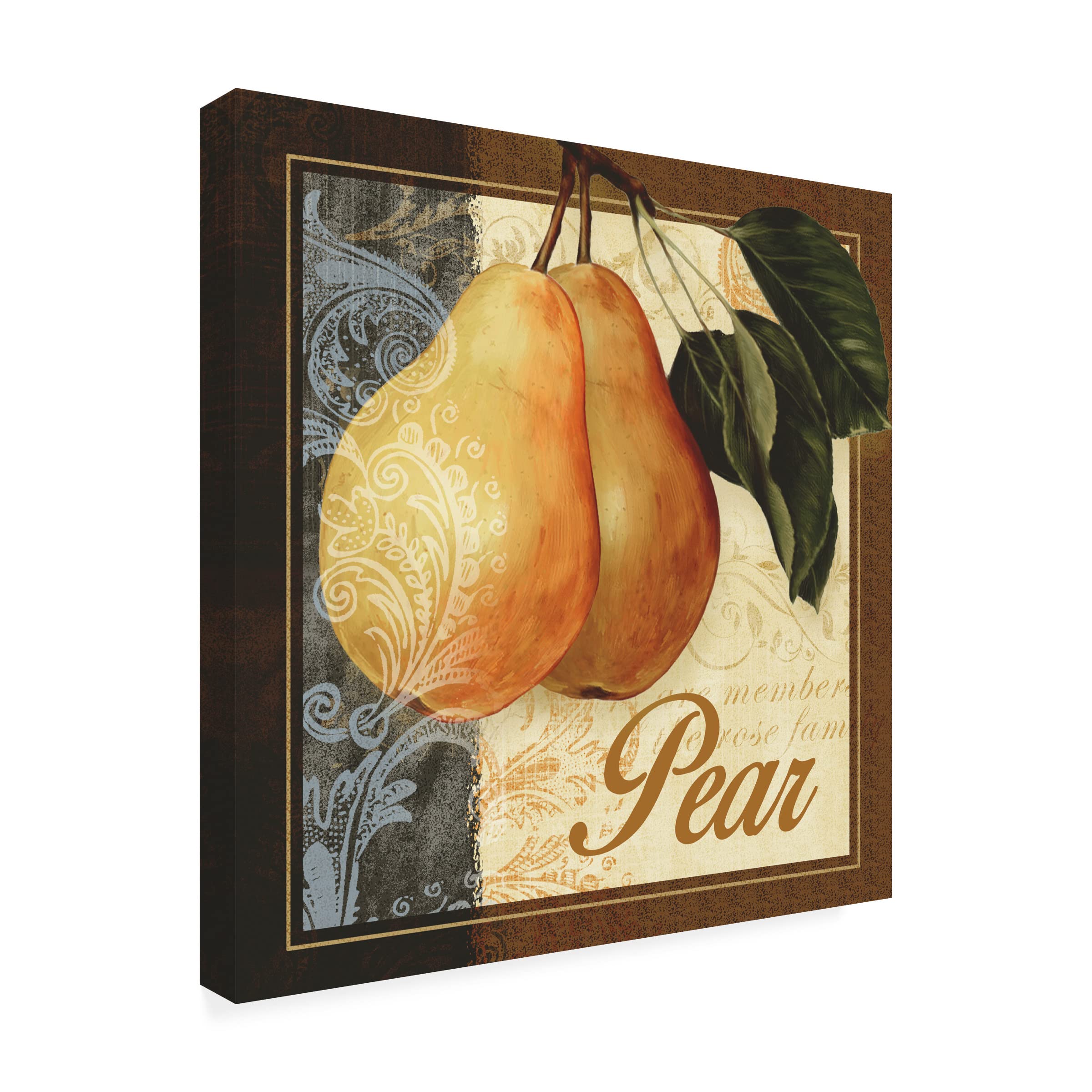 Abby White 'Fruit Illustration III' Canvas Wall Art Print - Modern Kitchen Decor, Dining Room Painting, Fruit Still Life Artwork for Home & Office