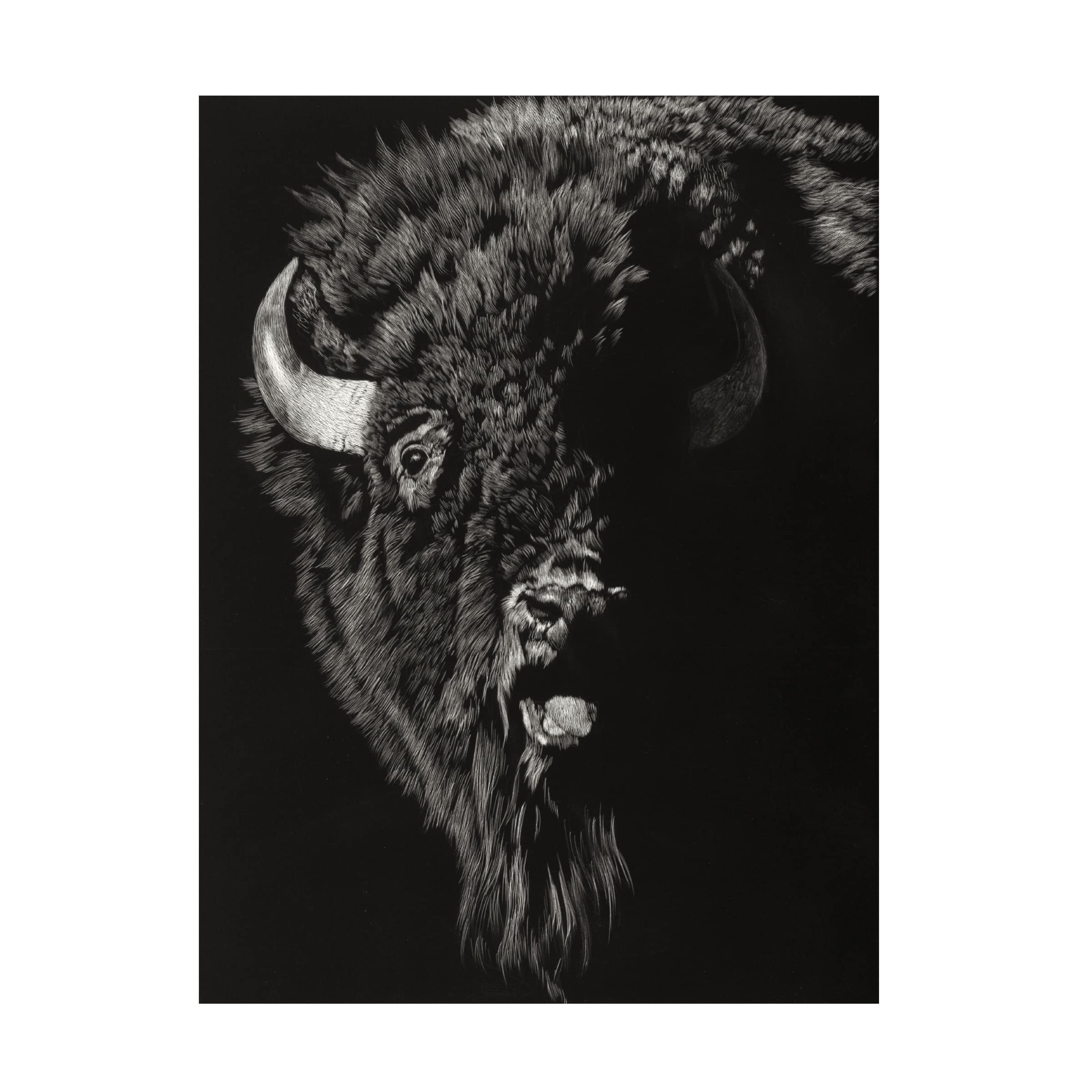 Trademark Fine Art 'Wild Scratchboard IV' Canvas Art by Julie T Chapman - Stunning Wildlife Wall Decor for Living Room, Bedroom & Office