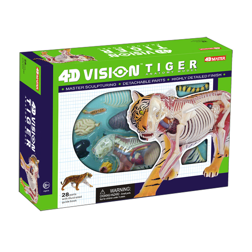 4D Master Tiger Anatomy Model - Educational Science Kit for Kids & Adults - Perfect for Classroom, Homeschooling & STEM Learning