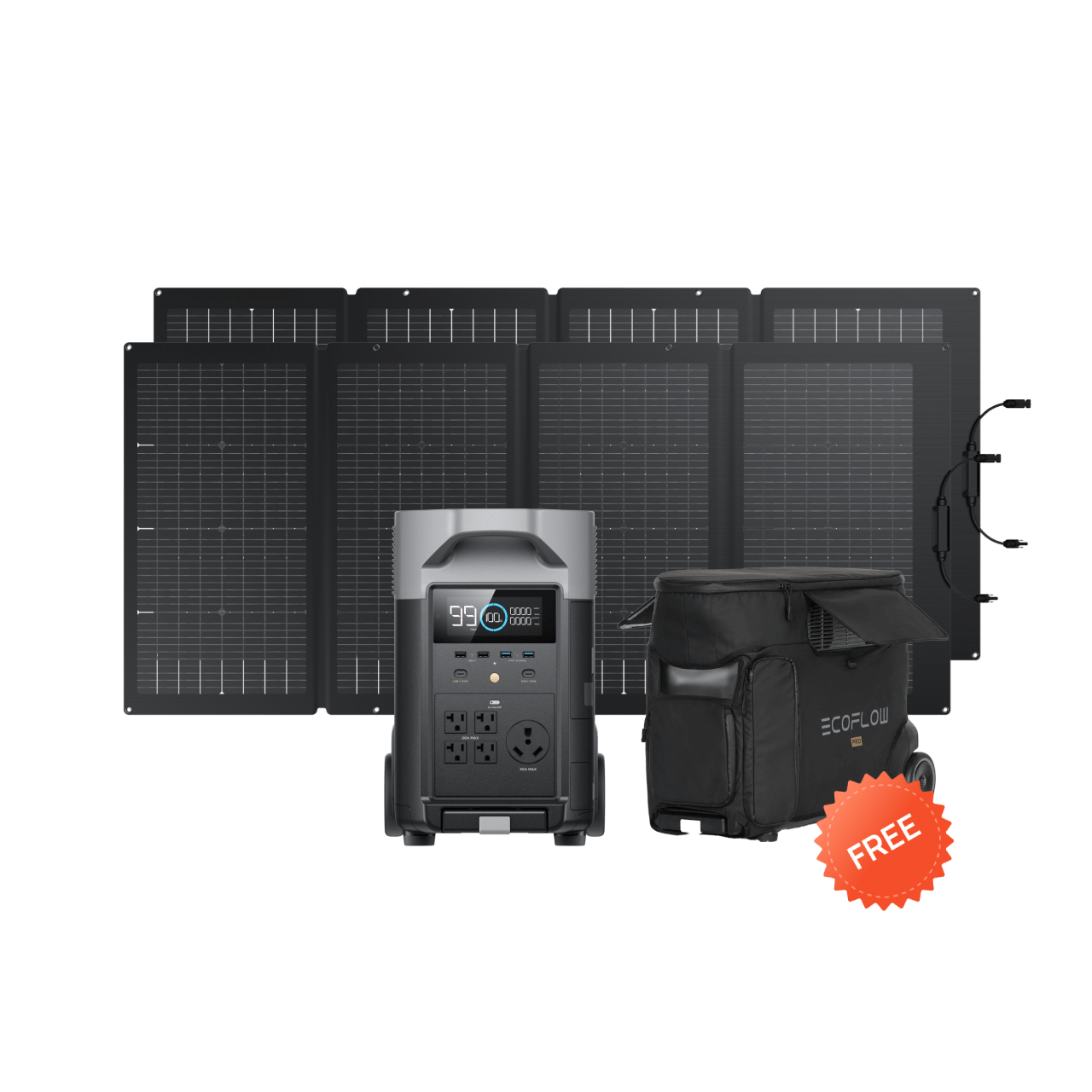EcoFlow DELTA Pro Portable Power Station with 2x220W Solar Panels & Carrying Bag - Solar Generator for Home Backup, Camping, RV & Outdoor Adventures