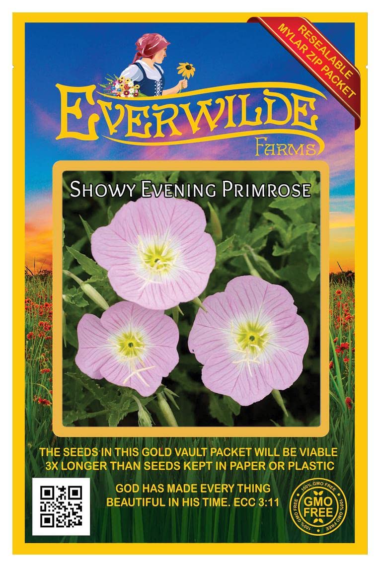 2000 Showy Evening Primrose Native Wildflower Seeds - Premium Gold Vault Jumbo Seed Packet for Gardening, Landscaping & Pollinator Gardens - Attracts Butterflies & Bees - Everwilde Farms