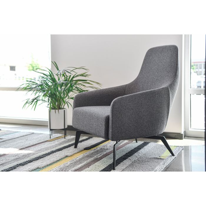 Friant Anza Lounge Fabric Chair FD356 - Modern Comfortable Upholstered Accent Chair for Living Room, Bedroom, or Office - Perfect for Relaxing, Reading, and Entertaining Guests