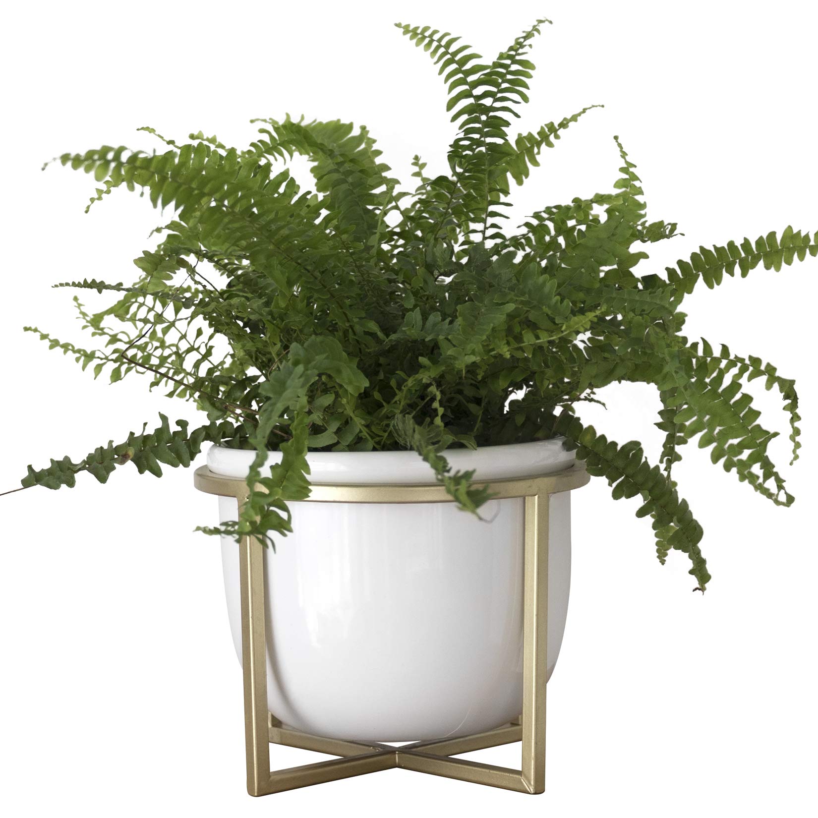 6.7 Inch White Ceramic Flower Pot with Gold Metal Stand - Indoor Planter for Herbs, Orchids, Cacti & Succulents - Perfect for Home Decor, Office Desk & Windowsill Gardening
