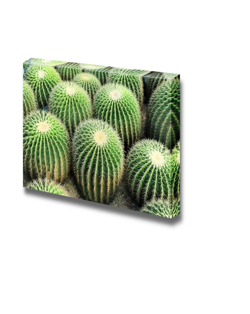 Modern Cactus Canvas Wall Art - Stretched Gallery Wrap & Wood Framed Print - 32x48 Inch Ready to Hang - Desert Home Decor for Living Room, Bedroom & Office