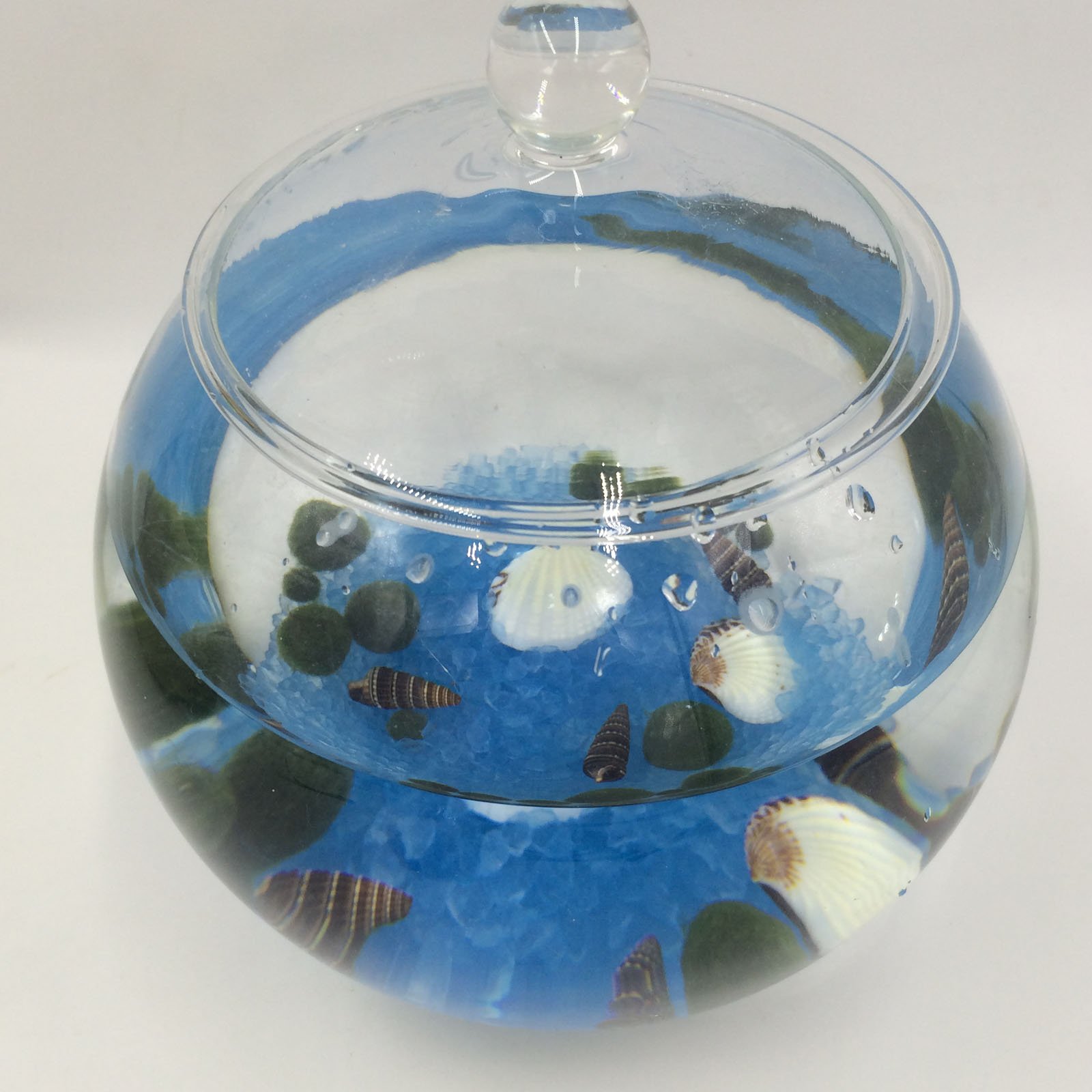 7.9 Inch Glass Terrarium Container with Lid - Large Display Jar for Plants, Cookies, Candies, DIY Crafts - Perfect for Home Decor, Wedding Centerpieces & Gift Packaging