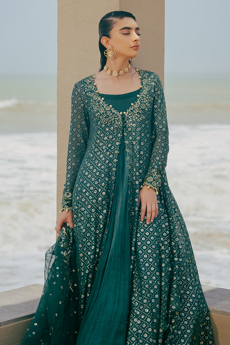 GREEN SPRING 3-Piece Chiffon Embroidered Dress Set - Elegant Floral Lace Trim Women's Outfit for Wedding, Party & Special Occasions