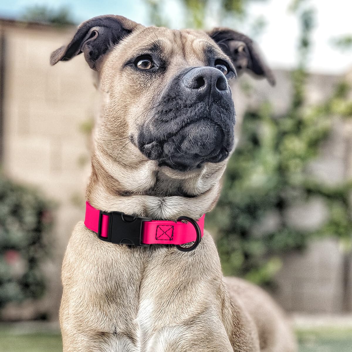 Waterproof Biothane Dog Collar with Quick Release Buckle - Odor-Proof & Easy Clean Nylon Webbing - Adjustable 15-23