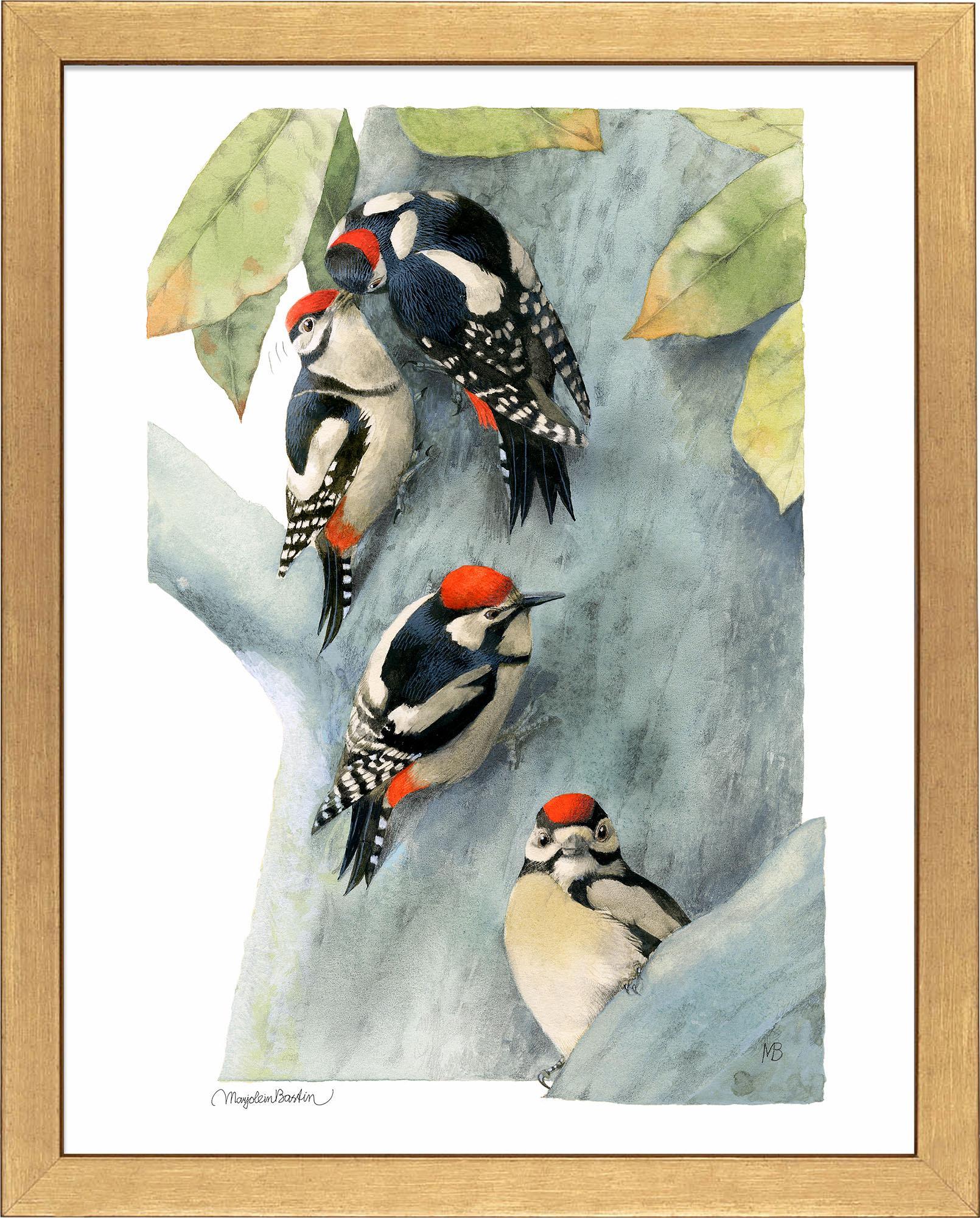 Spotted Woodpecker Family - Realistic Bird Figurine Set for Home Decor, Nature Lovers & Educational Use | Perfect for Kids' Room, Classroom & Wildlife Collections