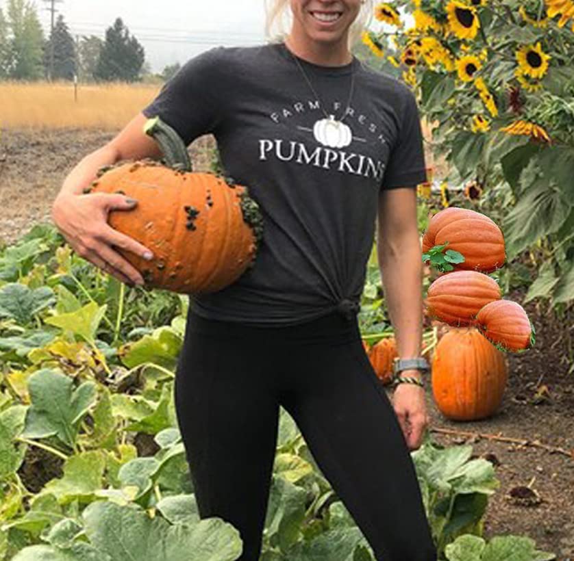 Farm Fresh Pumpkin Graphic T-Shirt for Women - Cute Fall Thanksgiving Short Sleeve Tee - Perfect for Autumn Outings, Harvest Festivals & Cozy Seasonal Style