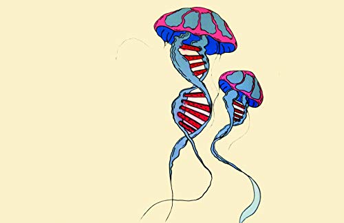 Dna Jellyfish