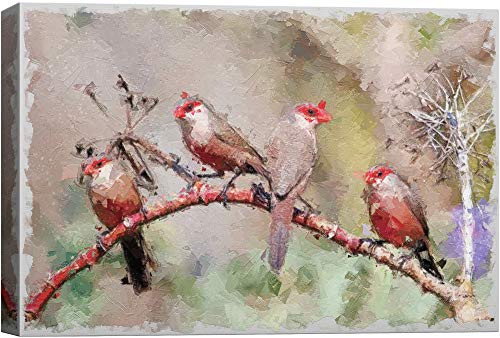 Base06-2103-birds-hol03