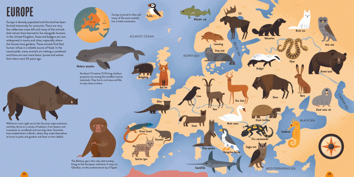 Amazing Animal Atlas - Illustrated Wildlife Encyclopedia for Kids & Adults | Perfect for Homeschooling, Classroom Learning & Nature Exploration