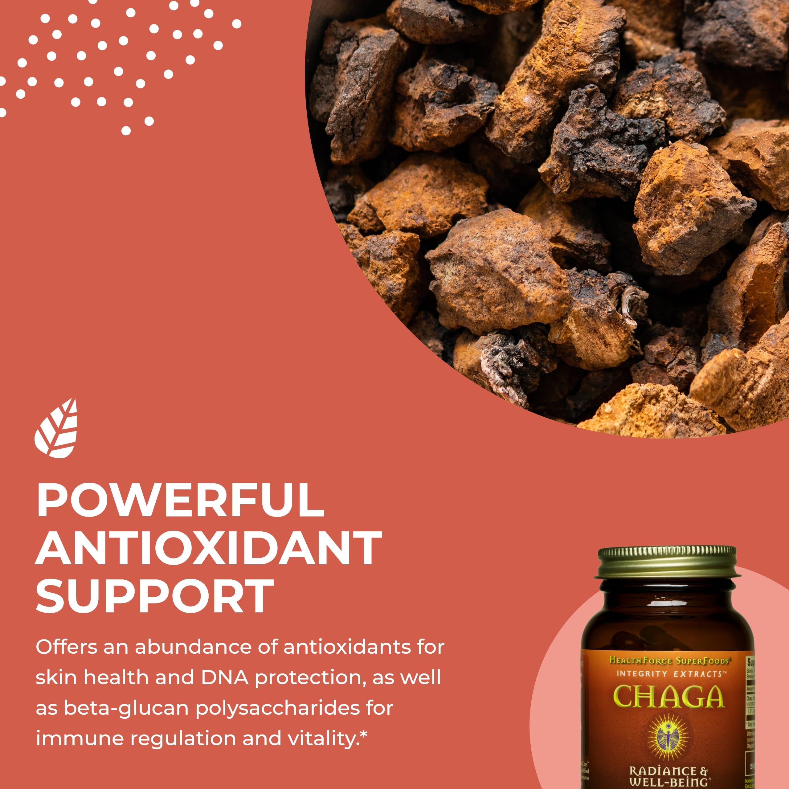 HealthForce SuperFoods Organic Chaga Mushroom Powder - 150g | Immune Support, Antioxidant Boost | Perfect for Smoothies, Coffee & Wellness Drinks