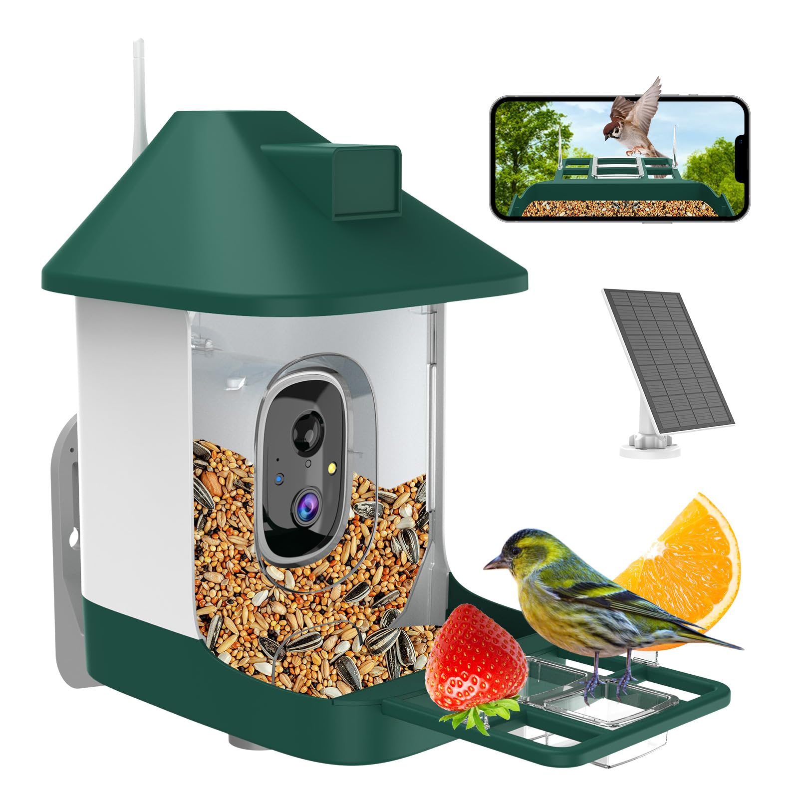 Smart Bird Feeder with Camera - AI Bird Identification, Solar Powered, 1080P HD Video Recording & Instant Alerts | Perfect Backyard Birdwatching Gift for Nature Lovers & Families (Ideal for Garden, Patio, or Balcony)