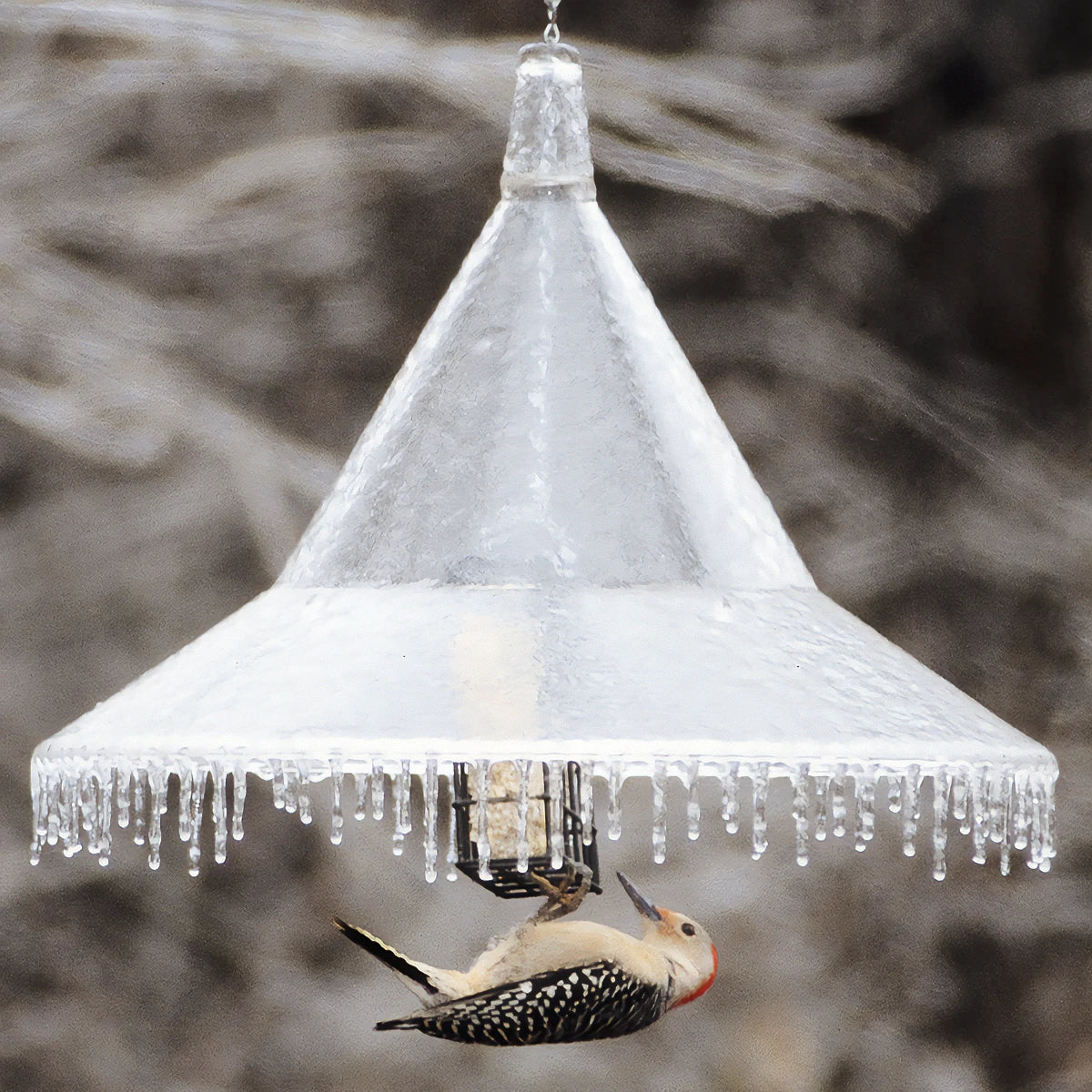 Arundale Squirrel Proof Hanging Bird Feeder Baffle - Durable Outdoor Wildlife Protector for Bird Feeders, Gardens & Patios