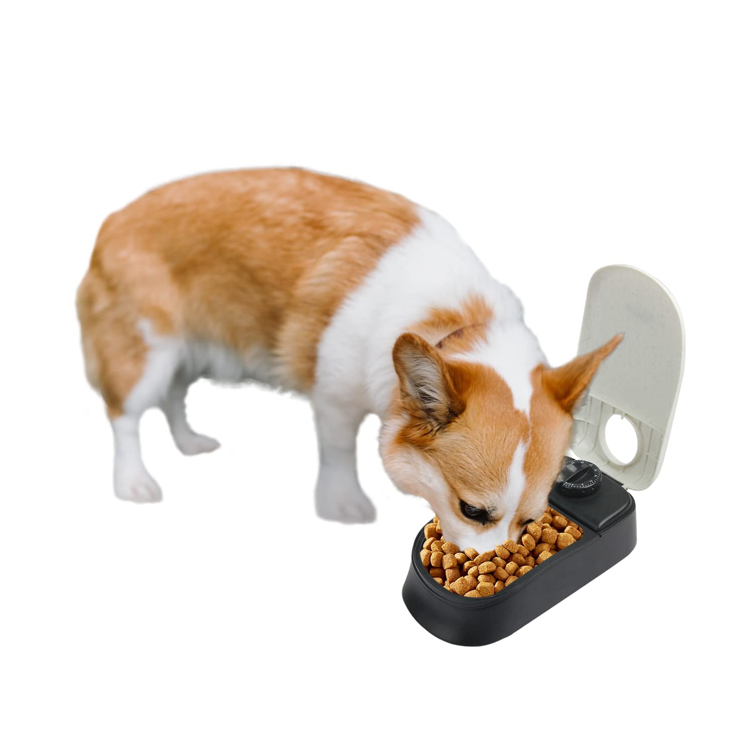 PAWISE Automatic Pet Feeder with Timer - Smart Dry Food Dispenser for Dogs & Cats - Perfect for Travel, Workdays & Busy Pet Owners (1 Meal Capacity)