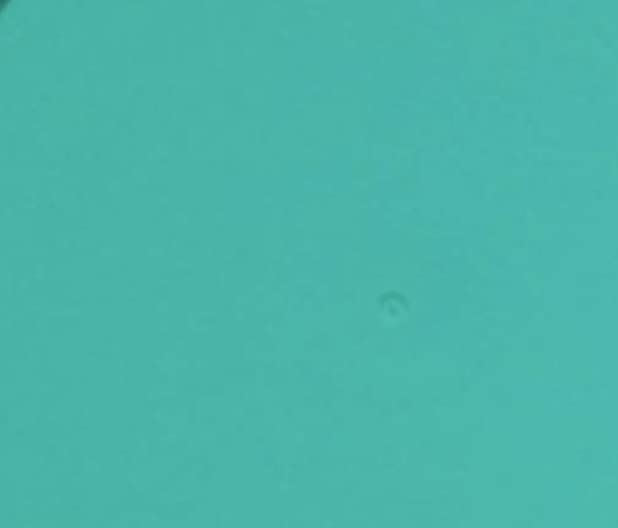 Green-6PK
