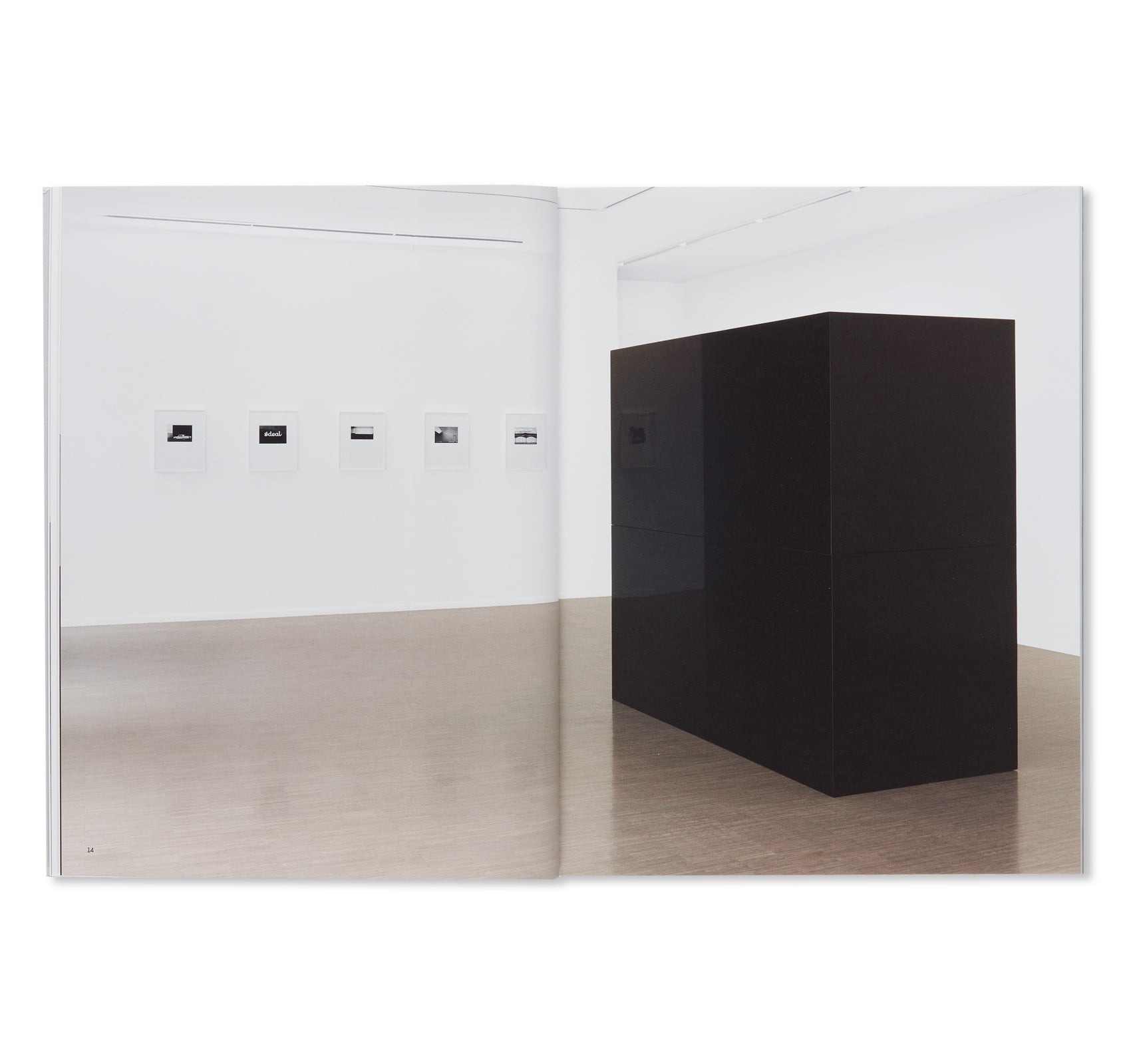 LEWIS BALTZ / SOL LEWITT Art Book - Photography & Conceptual Art Collection by Lewis Baltz and Sol LeWitt - Perfect for Art Collectors, Students & Modern Art Enthusiasts