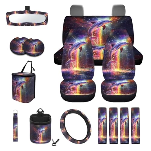 Dolphin Galaxy Colorful