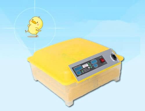 48 Egg Digital Incubator Hatcher with Clear View Window & Automatic Turning - Perfect for Poultry Farming, Hatching Chicken Duck Quail Eggs at Home or Farm