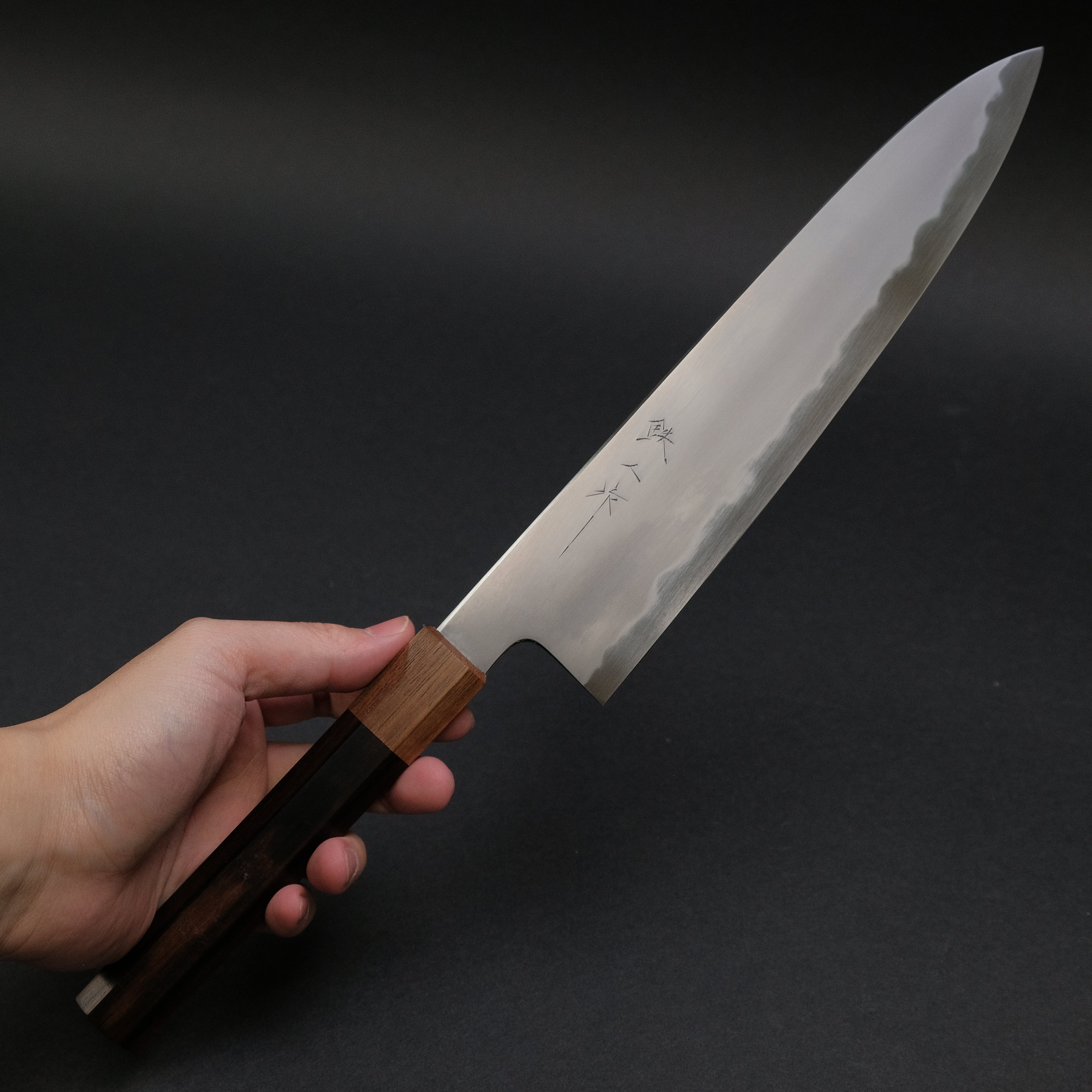 Premium Tetsujin Blue #2 Kasumi Gyuto 240mm Japanese Chef Knife with Khii Ebony Handle - Professional Kitchen Tool for Sushi, Meat Cutting & Precision Cooking