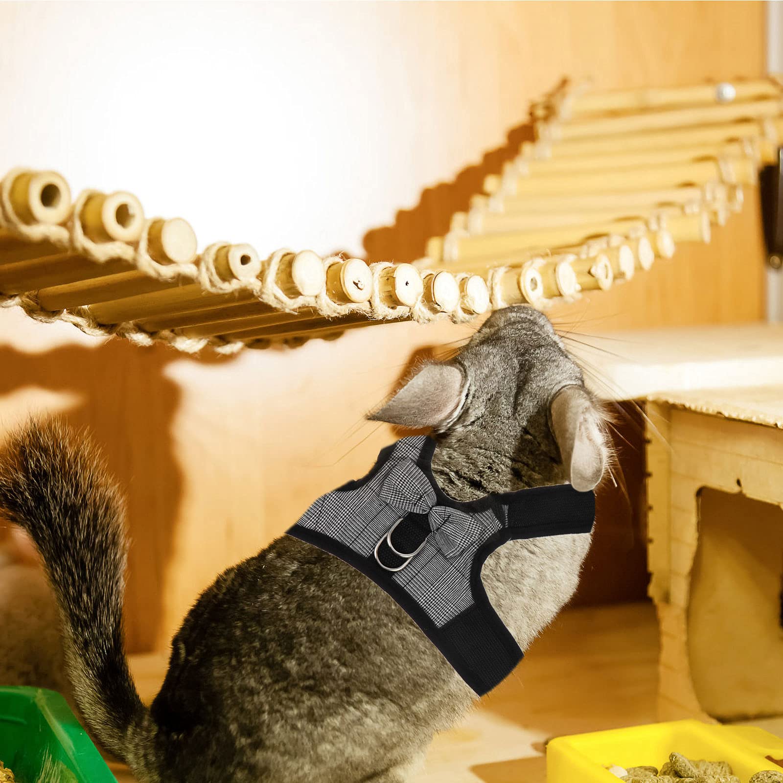 Scicalife Cute Bunny Vest Harness & Leash Set for Small Pets - Ferret, Rat, Rabbit Walking Accessories | Perfect for Outdoor Adventures & Indoor Playtime