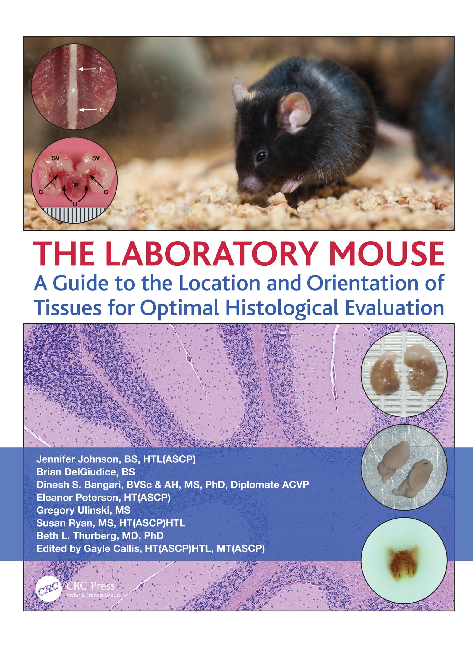 The Laboratory Mouse: Guide to Tissue Location & Orientation for Optimal Histological Evaluation - Perfect for Research & Veterinary Studies