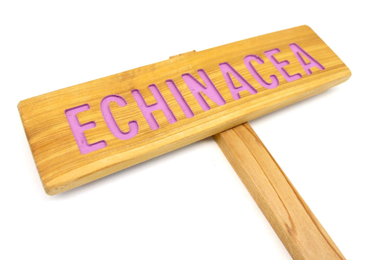 ECHINACEA Garden Sign - Outdoor Plant Marker for Herb Gardens, Yard Art & Urban Landscaping - Coneflower & Tea Herb Signage - Perfect for Perennial Gardens & Botanical Decor