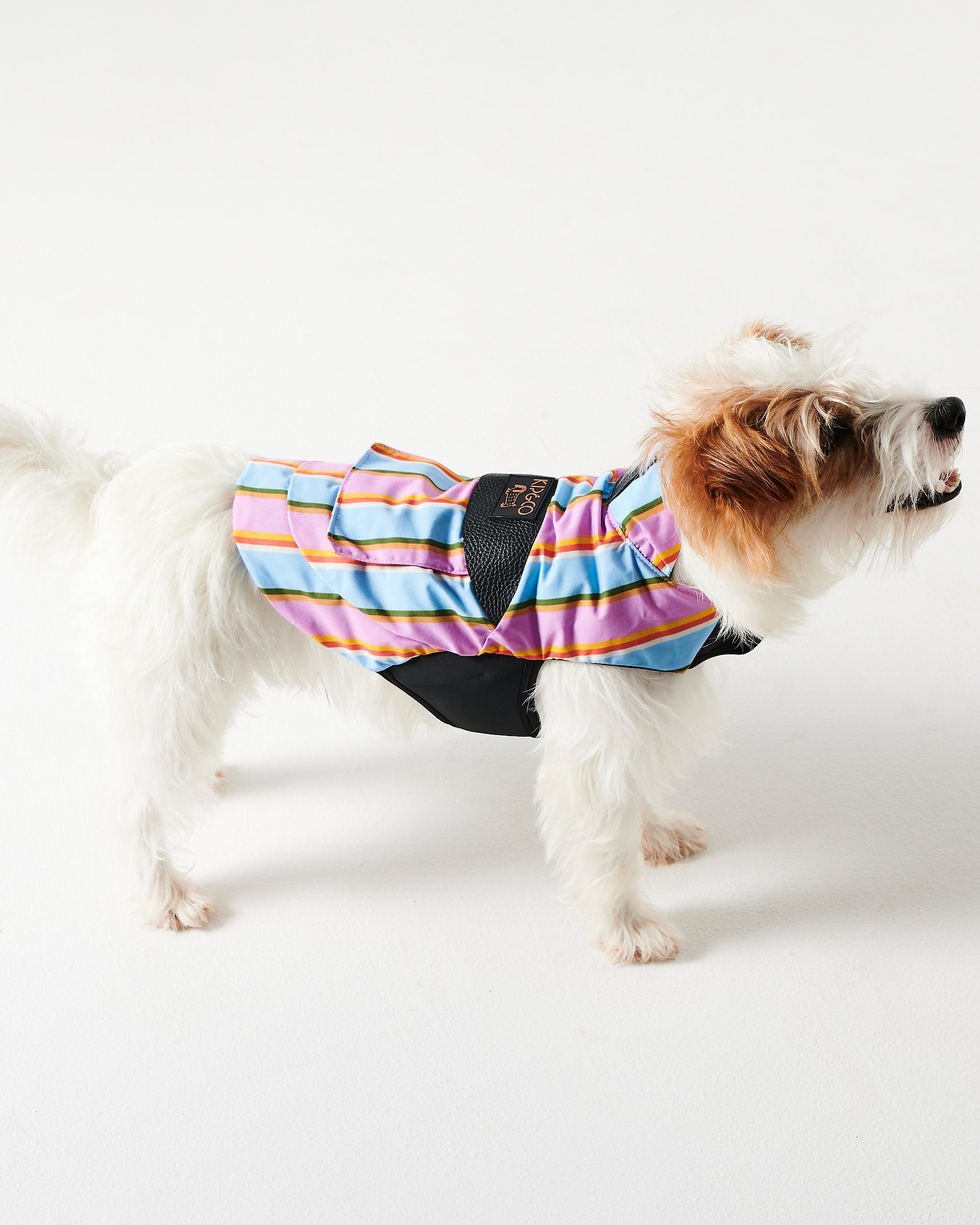 Fez Striped Dog Jacket - Waterproof & Warm Winter Coat for Small Medium Large Dogs - Perfect for Outdoor Walks, Hiking & Cold Weather Protection