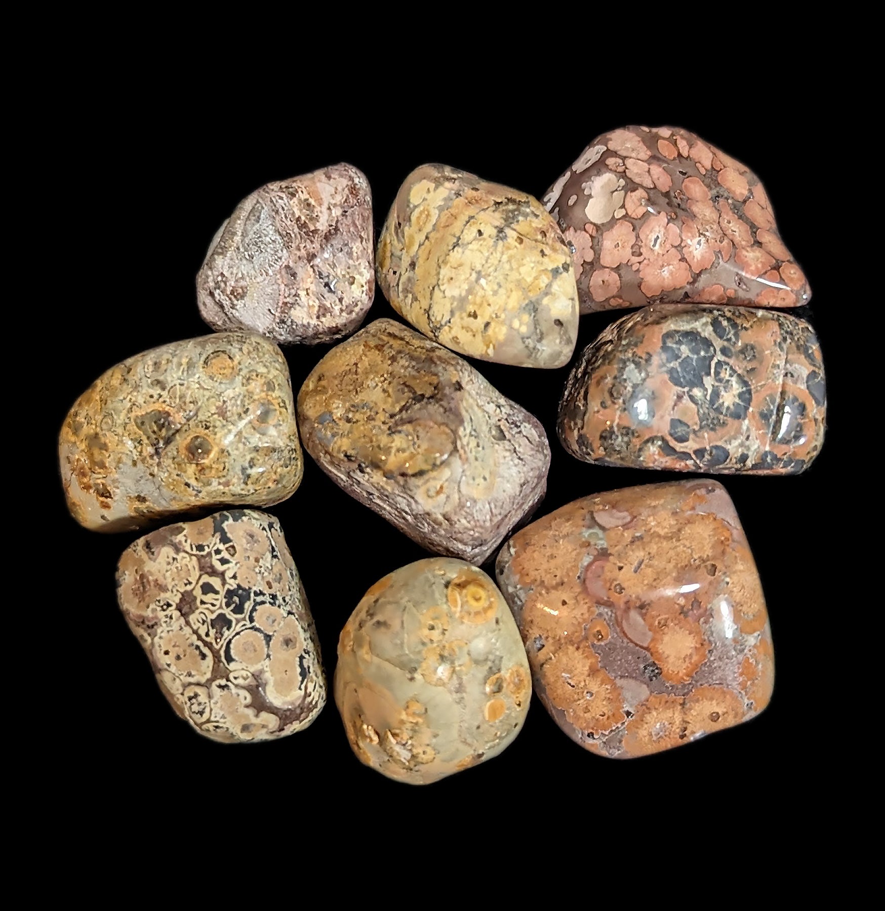 Tumbled Leopard Skin Jasper Stone - Natural Healing Crystal for Meditation, Chakra Balancing & Home Decor | Perfect for Jewelry Making, Spiritual Gifts & Energy Work