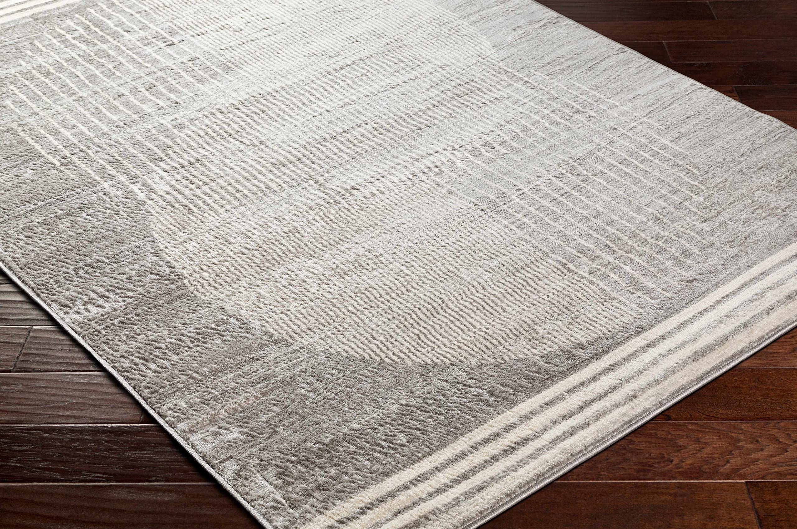 Beauregard Modern Gray Area Rug 5'3