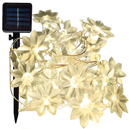 Solar Lotus - 8 Foot - Warm White