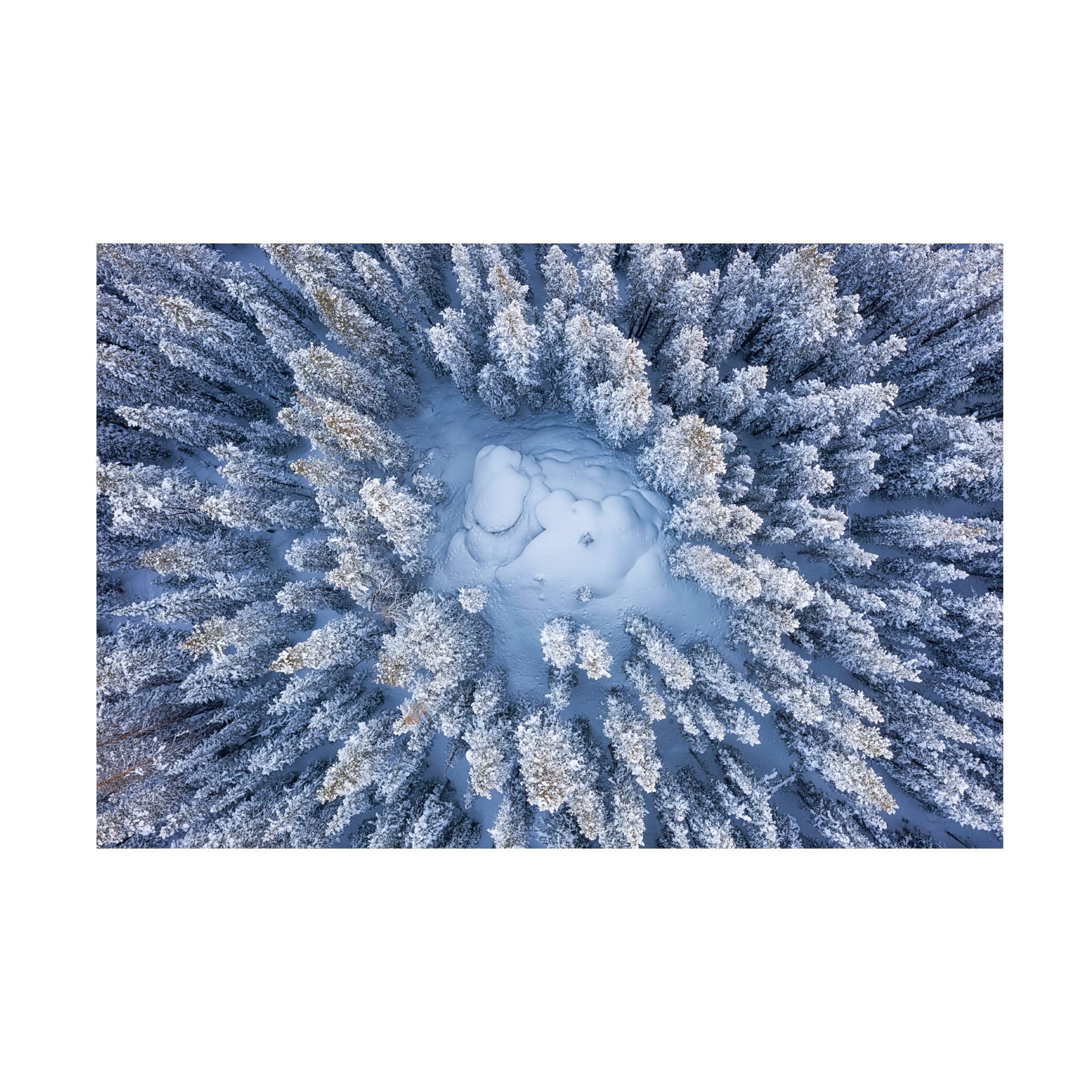 Mei Xu 'Forest In Winter' Canvas Wall Art Print - Nature Landscape Painting for Living Room, Bedroom & Office Decor