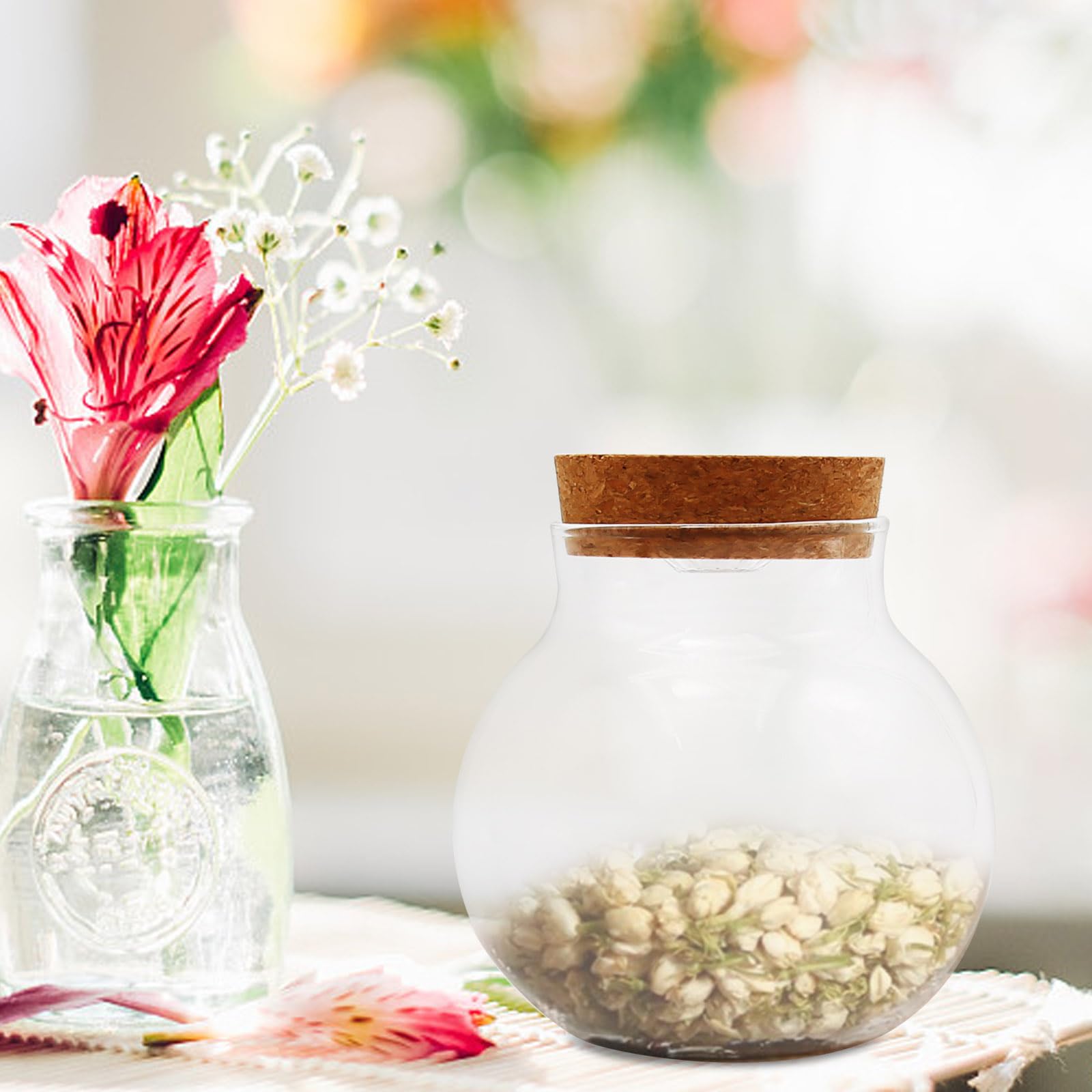 Round Glass Jar with Lid - 16oz Clear Mason Jars for Storage, Terrarium, Moss Balls, DIY Crafts, Party Decor | Perfect for Kitchen Pantry, Easter Candy Display, Christmas Decorations & Plant Terrariums