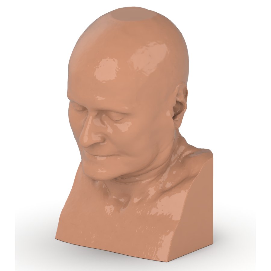 Professional CTA Head and Neck Phantom - High-Quality CT Scan & X-Ray Training Model for Medical Education | Perfect for Radiology Students, Technicians & Clinical Practice