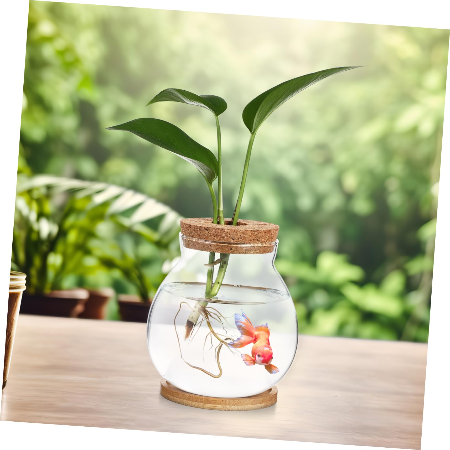 Glass Terrarium with Lid - Goldfish Bowl, Betta Fish Tank, Hydroponic Plant Vase for Office Desk Decor | Perfect for Home Aquarium, Indoor Gardening & Zen Bamboo Arrangements
