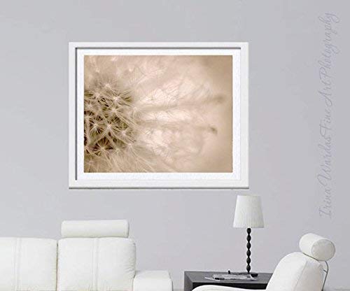 Dandelion Fine Art Photography Print - Neutral Modern Wall Art for Bedroom Decor - Beige Tan Brown Flower Macro Photography - Perfect for Living Room, Office & Nursery