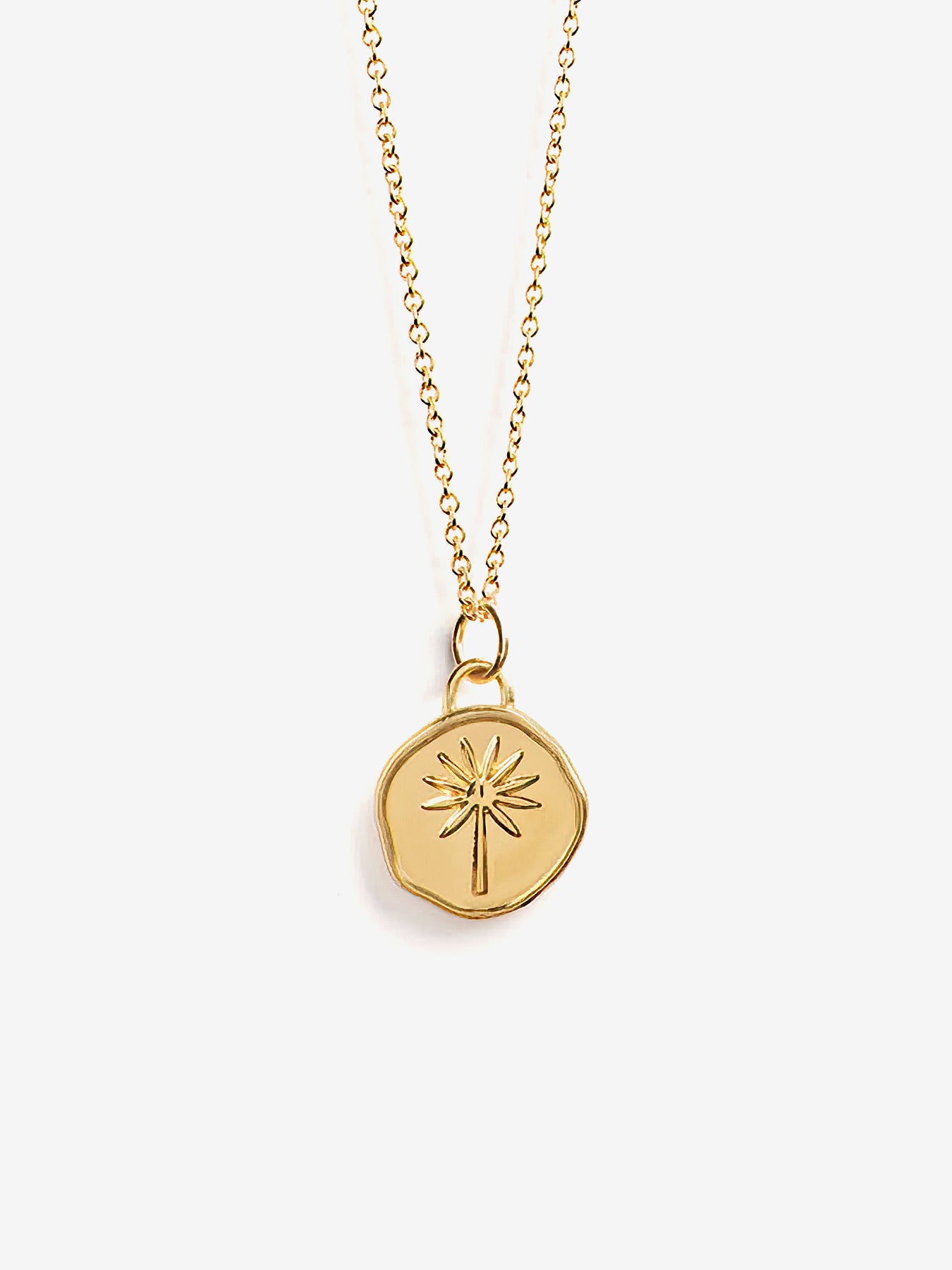 Wanderlust Life Gold Chain Pendant Necklace - Terra Collection | Elegant Jewelry for Women | Perfect for Travel, Date Night & Special Occasions