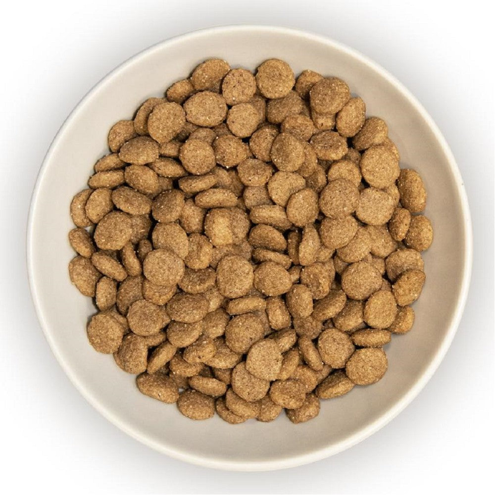 Premium Adult & Senior Cat Dry Food - Original Chicken & Brown Rice Recipe | High Protein, Grain-Free Kibble for Indoor & Outdoor Cats | Supports Healthy Digestion & Shiny Coat