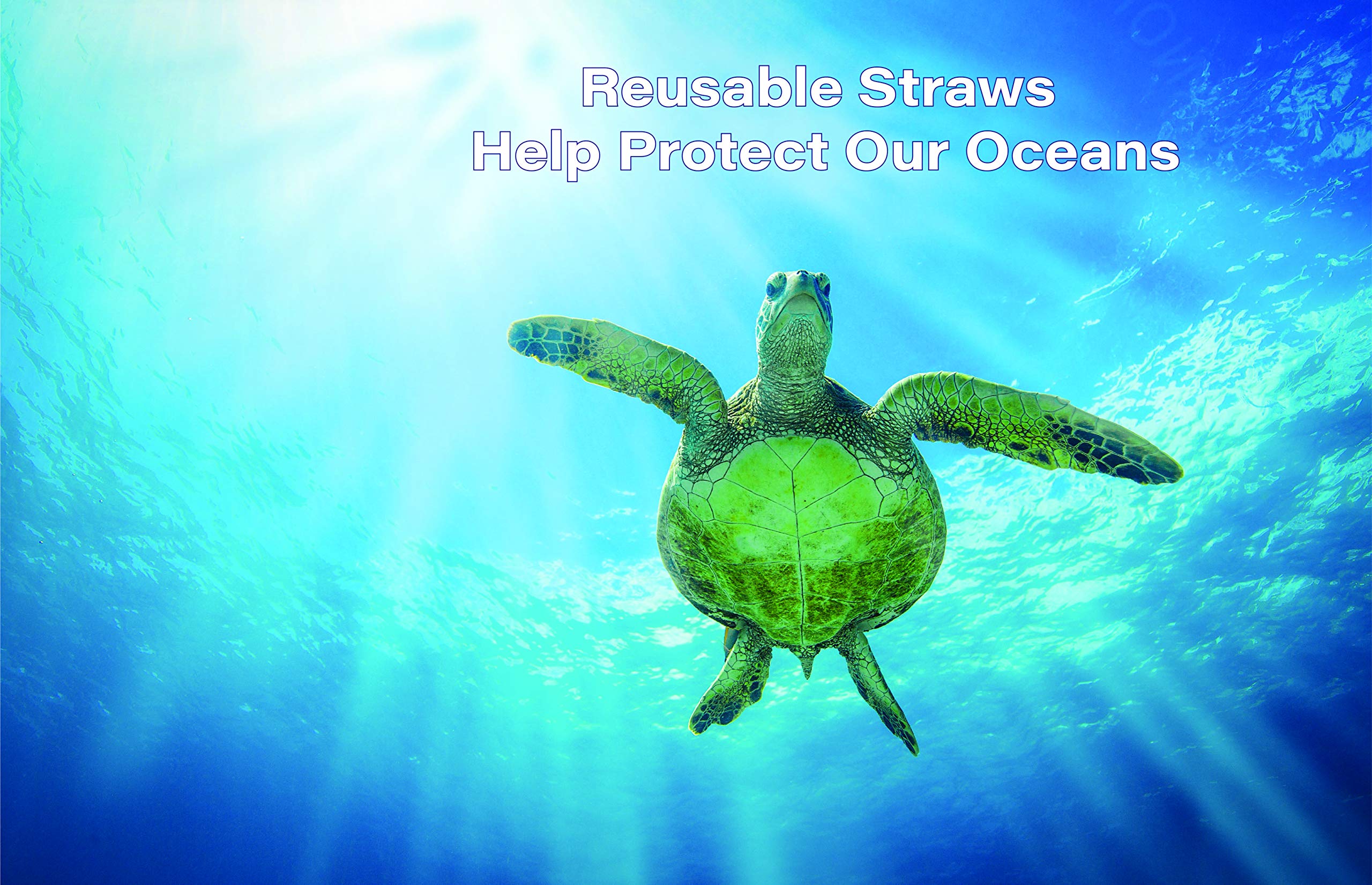 Reusable Stainless Steel Straws 2-Pack - Dishwasher Safe for Travel & Home