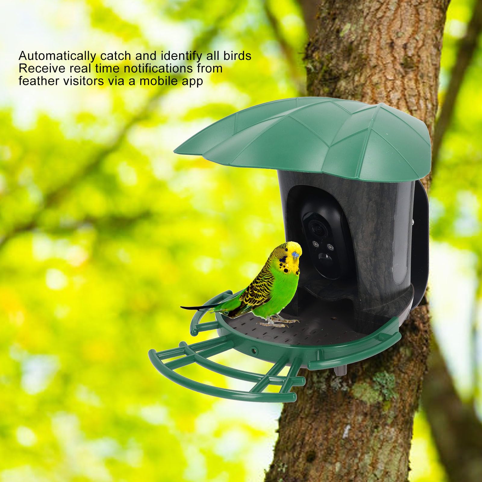 Smart Bird Watching Camera - 4G HD 2MP Bird Feeder Camera with Solar Power & Waterproof Design, AI Bird Identification for Backyard Wildlife Monitoring | Perfect for Bird Lovers, Nature Enthusiasts & Outdoor Observation
