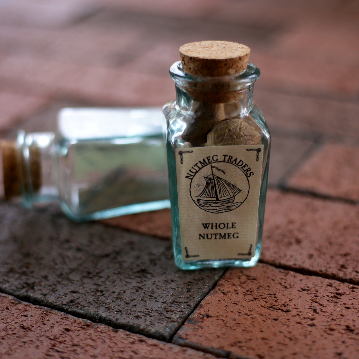 Premium Ground Nutmeg Spice in a Bottle - Perfect for Baking, Cooking & Holiday Recipes