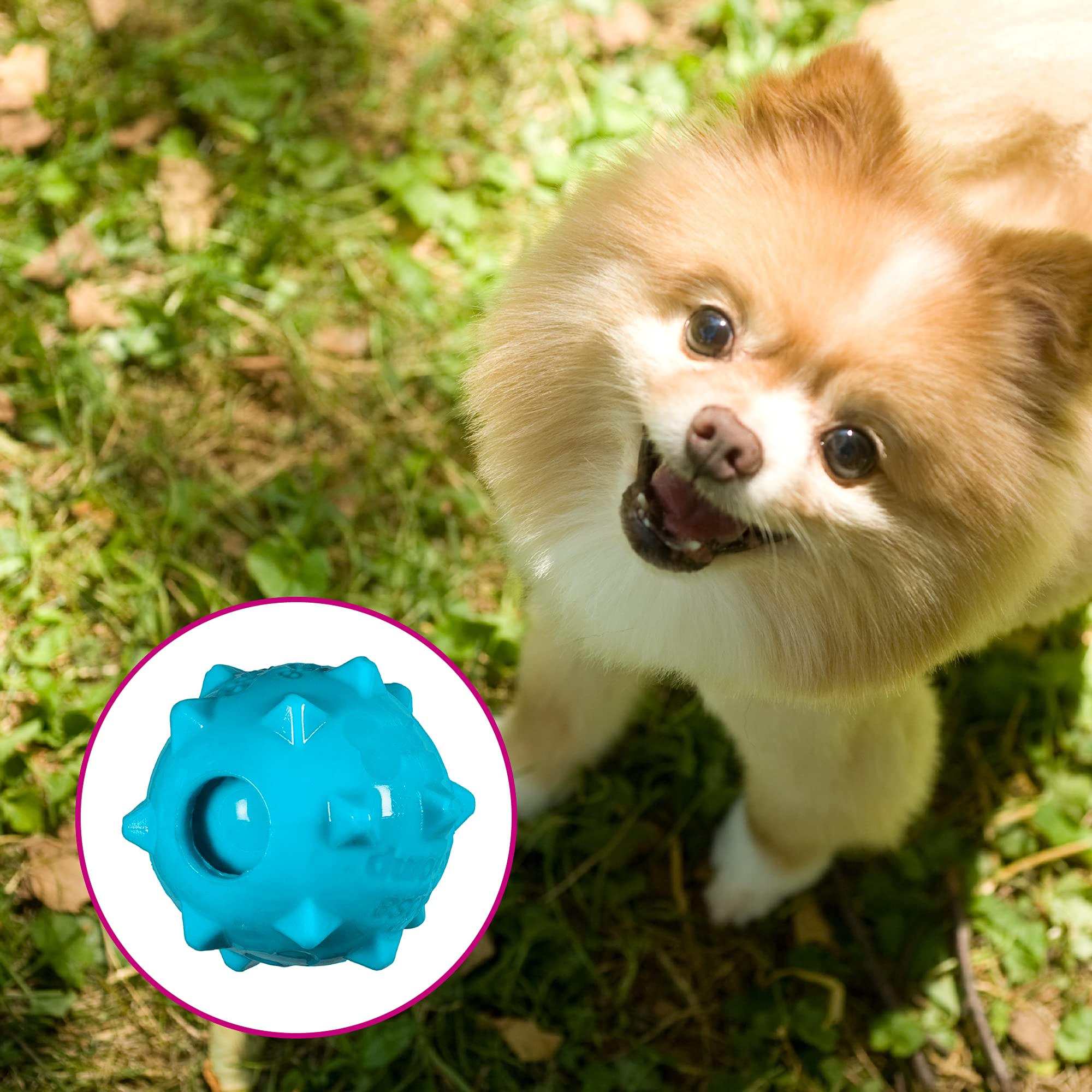 Chase 'n Chomp Squeaker Ball Dog Toy - 2.5