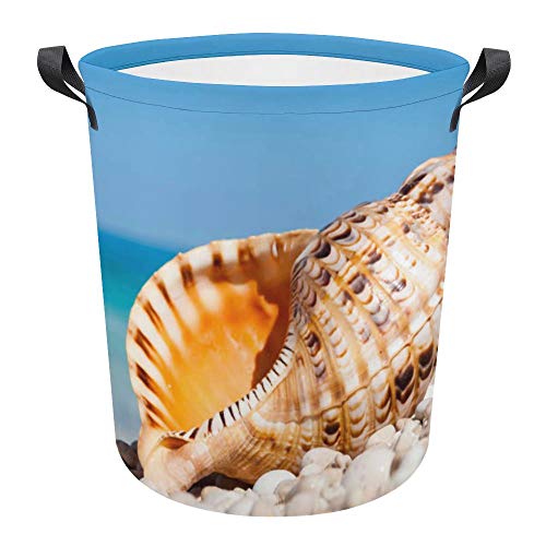 1670084005 Seaside Shell Summer Blue