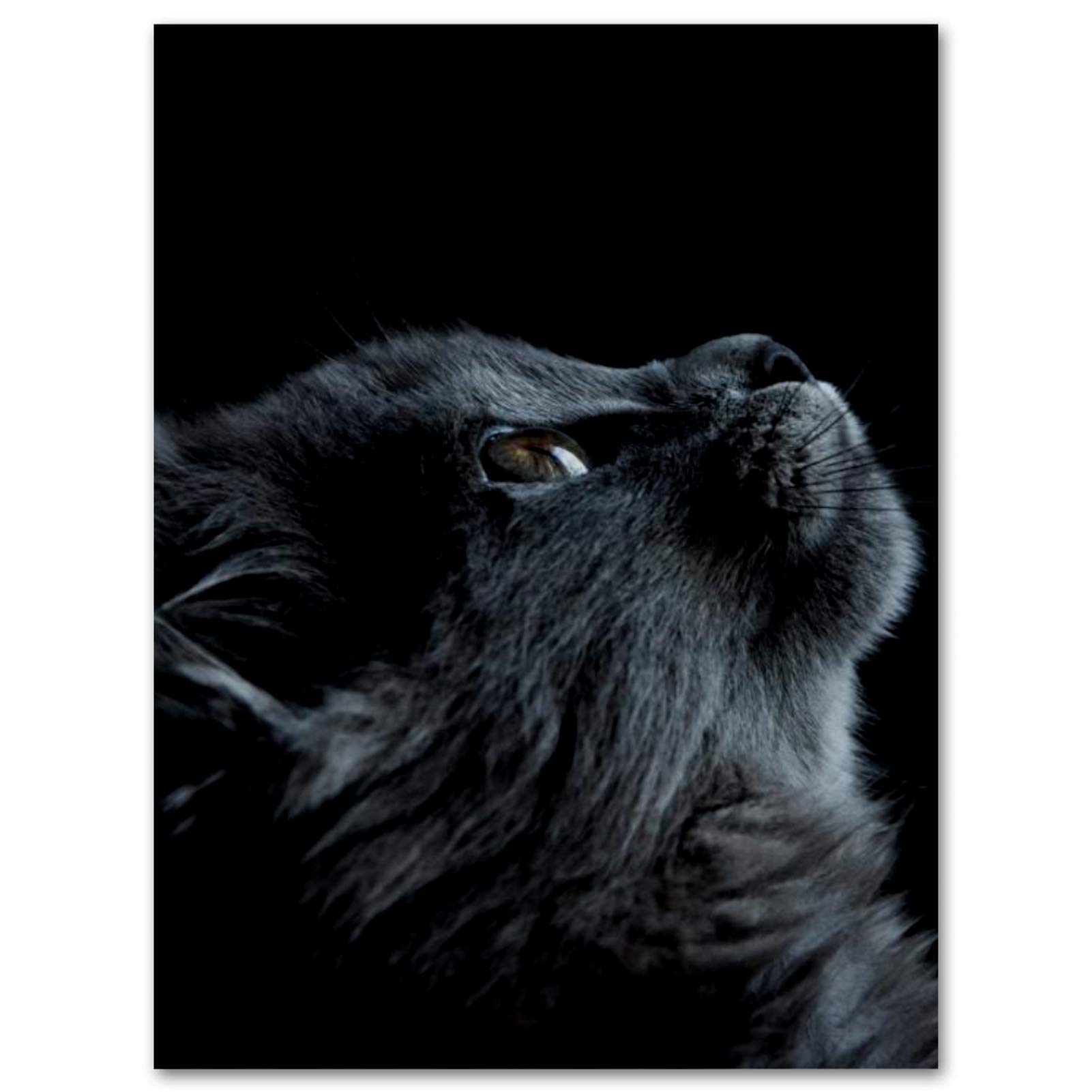 Modern Cat Canvas Wall Art - Frameless Bathroom Decor 11.8x31.5in for Kitchen & Bedroom