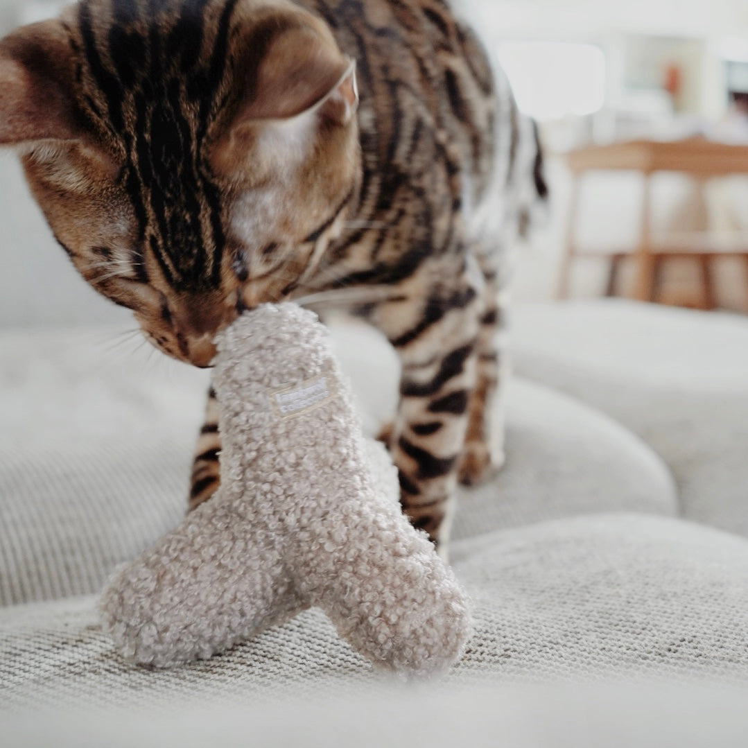 Kitty Breuer - Premium Cat Breuer for Comfort & Style | Perfect for Home, Office & Travel Use