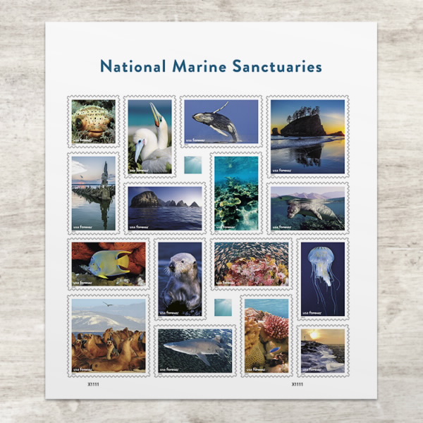 National Marine Sanctuaries Forever Stamps (16 Sheets) - Scott #5713 for Collectors & Mail